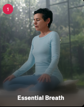 Teaches Yoga Foundations