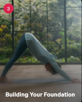 Teaches Yoga Foundations