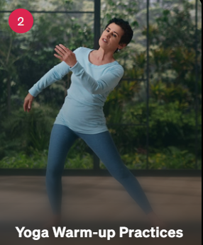 Teaches Yoga Foundations